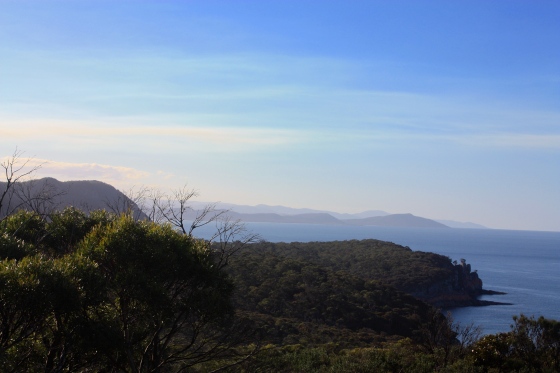 Tasmanian scenery